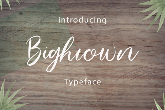 Bightown: Elevating Your Designs with a Handwritten Masterpiece