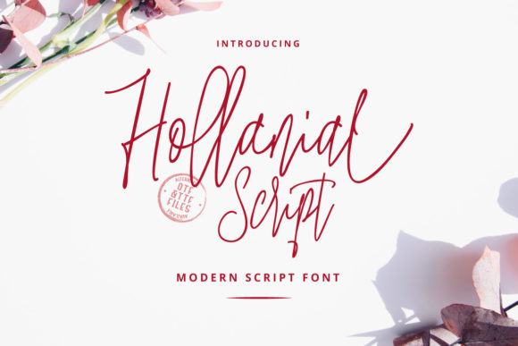 Why Hollanial is the Ultimate Script for Modern Brands